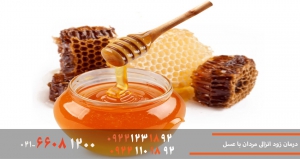 درمان زود انزالی مردان با عسل