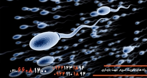 راه های تقویت اسپرم جهت بارداری